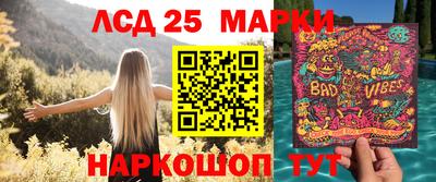 гидра Берёзовский