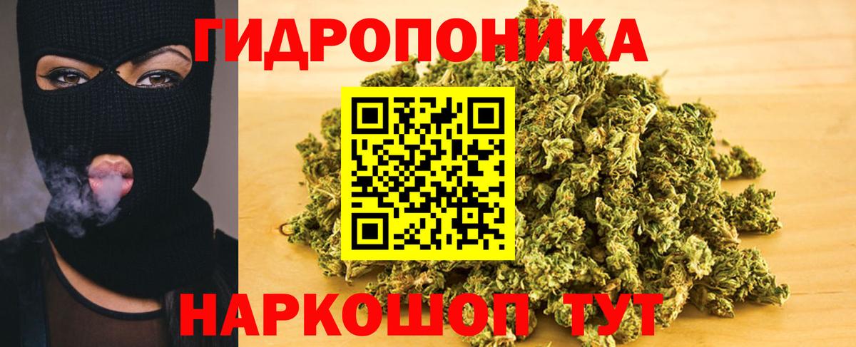Шишки марихуана гибрид Кемерово
