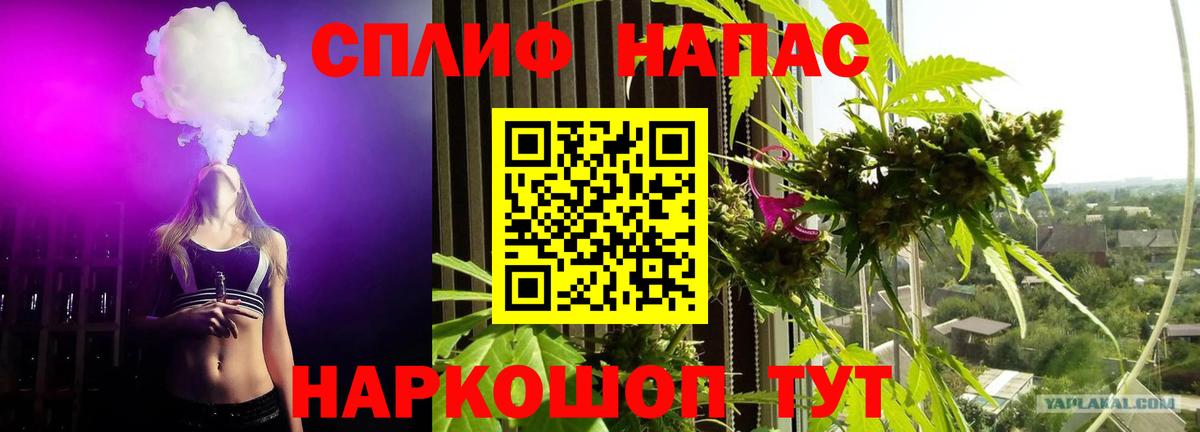 Конопля марихуана  Кемерово  Конопля план  Марихуана планчик  Марихуана Amnesia 