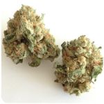 Шишки "White Widow"  (Белая вдова)  Гидропоника -  Бошка VHQ в Кемерово
